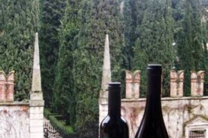 ANTEPRIMA AMARONE. TRA MINISTRO E &ldquo;FALSI&rdquo;: IL 26 E 27 GENNAIO A VERONA IL DEBUTTO DELL&rsquo;ANNATA 2009 PER UN VINO CHE HA TIRATO LA CRESCITA DI UN INTERO TERRITORIO. E CHE, FORTE DEL SUO SUCCESSO, DEVE SEMPRE PI&Ugrave; DIFENDERSI DALLA &ldquo;IMITAZIONI&rdquo;