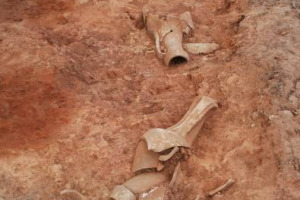 La riscoperta dell&rsquo;affinamento in anfora &egrave; una delle tendenze enologiche pi&ugrave; interessanti degli ultimi anni: persa da secoli, affonda le proprie radici nell&rsquo;Antica Roma, come emerge dagli scavi della Villa di San Giovanni, sull&rsquo;Isola d&rsquo;Elba