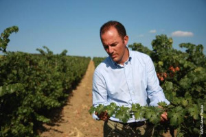 Osservatorio del Vino: il primo trimestre 2017 del vino italiano sui mercati esteri &egrave; tutt&rsquo;altro che brillante. Segno meno in Germania, Uk e Cina, mentre la Russia torna, finalmente, a crescere. Inizio record per le spedizioni verso Usa e Canada