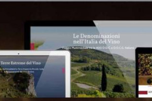 Nel mondo del vino virtuale nasce una nuova app. Si chiama &ldquo;Le Denominazioni nell&rsquo;Italia del Vino&rdquo;, enciclopedia multimediale che mappa e racconta (con le voci di famosi sommelier) le 400 Doc e Docg italiane. Edita da Pilota Green, arriver&agrave; nel 2017
