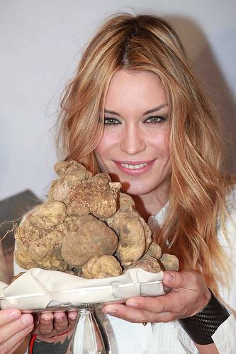 Il Comune di Alba contro testo unico della Commissione Agricoltura della Camera dei Deputati