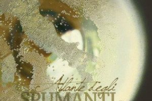 &ldquo;ATLANTE DEGLI SPUMANTI D&rsquo;ITALIA-METODO ITALIANO&rdquo;: 66 STORIE DI VITA E PRODUTTORI RACCONTATE DALLA PENNA DI ANDREA ZANFI, ATTILIO SCIENZA E GIAMPIETRO COMOLLI E DAGLI SCATTI INEDITI DI GI&Ograve; MARTORANA PER UN METODO ITALIANO A 360&deg; DAI TERRITORI AI VINI