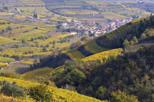 Le colline vitate del Soave e gli ulivi secolari della fascia pedemontana Assisi-Spoleto sono le prime due candidate italiane ufficiali a &ldquo;Patrimonio agricolo di rilevanza mondiale&rdquo; del progetto Giahs della Fao