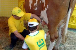 COLDIRETTI PUNTA SU FATTORIE DIDATTICHE PER L’EDUCAZIONE DELLE NUOVE GENERAZIONI NEI CONFRONTI DELL’AMBIENTE, NATURA E ALIMENTAZIONE: LA FORMAZIONE SUL CAMPO RIGUARDERÀ OLTRE UN MILIONE DI BAMBINI