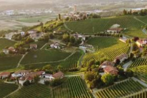 Un&rsquo;annata piuttosto equilibrata in termini di struttura e complessit&agrave;, che sembra avere una marcia in pi&ugrave; sulla 2012: ecco il Barbaresco 2013 negli assaggi di WineNews da &ldquo;Nebbiolo Prima&rdquo;, ad Alba by Albeisa (in attesa di Barolo 2012 e Riserva 2010)