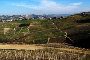 La rivalsa dell&rsquo;&ldquo;altro Piemonte&rdquo;: tra prezzi dei terreni pi&ugrave; abbordabili ed un mercato da riconquistare, tanti produttori top (da Marchesi di Barolo a Chiarlo, da Damilano a Ratti ...) e anche investitori stranieri puntano su Barbera &ldquo;& friends&rdquo; ...