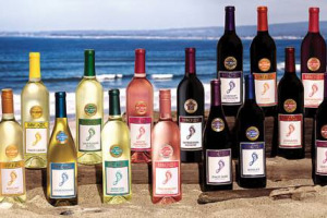 &ldquo;Top 10 Wine Brands&rdquo; 2014 by The Drinks Business: tra i marchi pi&ugrave; venduti al mondo guida il californiano Barefoot, con 202,8 milioni di bottiglie. Sul podio anche Gallo e Concha y Toro, il brand pi&ugrave; potente del mondo
