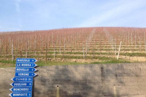 Barolo, Barbaresco, Roero, Dogliani e Diano d&rsquo;Alba si presentano al mondo, con oltre 200 cantine e 500 etichette, nei Castelli e nei Palazzi delle Langhe Patrimonio dell&rsquo;Unesco, nella biennale &ldquo;Grandi Langhe Docg&rdquo; (2-4 aprile). Con &ldquo;Nebbiolo Prima&rdquo;