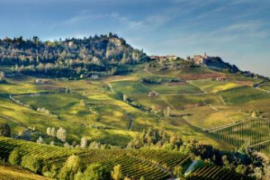 Nel Barolo si discute sull&rsquo;allargamento della zona di produzione: il Consorzio di Tutela ha chiesto alla Regione 30 ettari in pi&ugrave; nel 2018 (su oltre 2100 attuali). Ma la Cia si oppone. La storia su &ldquo;La Stampa&rdquo; firmata Roberto Fiori