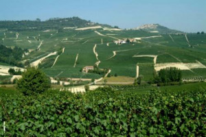 Le &ldquo;Menzioni Geografiche Aggiuntive&rdquo; di Barolo e di Barbaresco sono ancora un unicum nell&rsquo;Italia del vino. Un modello che si pone al vertice della piramide qualitativa, e che dovrebbe essere preso ad esempio anche dalle altre grandi denominazioni