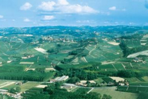 Over 2 million euros for half a hectare in Barolo