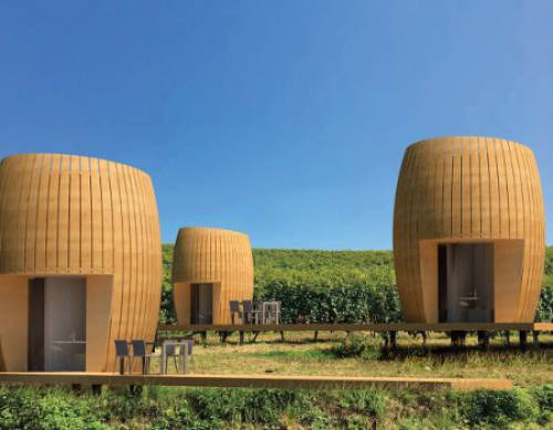 Le suite barrique in vigna