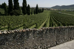CRESCE L&rsquo;HORTICULTURAL TOURISM MADE IN ITALY ... E LE VIGNE DI BELLAVISTA IN FRANCIACORTA E DI PETRA IN TOSCANA DI TERRA MORETTI NEW ENTRY 2012 NEI &ldquo;GRANDI GIARDINI ITALIANI&rdquo;, ACCANTO A &ldquo;GIOIELLI VERDI&rdquo; COME LA REGGIA DI CASERTA E IL VITTORIALE