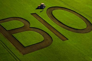 In Francia scoppia il “caso” dei margini che la Gdo ottiene dalla vendita di prodotti bio. Ma com’è la situazione in Italia? Qualche riflessione sulle (inesistenti) rilevazioni e i prezzi del bio, in un mercato ancora di nicchia ma in forte crescita