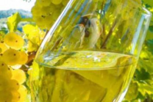 Oggi in Italia pi&ugrave; domanda di vini bianchi che di rossi, che per&ograve; sono ancora colonna dell&rsquo;export, e storia del vino italiano. Numeri e riflessioni da &ldquo;Rosso come il vino&rdquo;, nei 50 anni della Doc Rosso Conero, prima denominazione rossista delle Marche