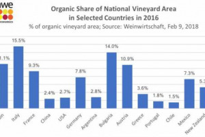 In Italia la maggior incidenza di vigneto &ldquo;bio&rdquo; sul totale: con il 15,5% il Belpaese &egrave; n. 1 al mondo, davanti a Bulgaria (14%), Spagna (11,1%), Austria (10,9%) e Francia (9,3%). Male gli Usa (2,7%). A dirlo la American Association of Wine Economist
