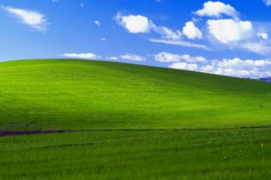 La seconda foto pi&ugrave; pagata di sempre a un fotografo vivente? E&rsquo; di un vigneto della Sonoma, e la conosciamo tutti, dato che &egrave; stata lo sfondo di default di Windows XP, il sistema operativo di Microsoft pi&ugrave; diffuso ai quattro angoli del globo