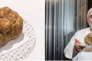 Il giro del mondo del tartufo più grande del pianeta: trovato in Umbria, il bianco da Guinness (1,89 kg) è stato venduto in asta a New York ad un anonimo acquirente di Taiwan (61,250 US $) per finire in cucina all'8½ Otto e Mezzo Bombana di Hong Kong