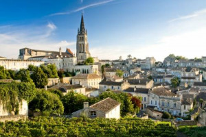 Il mercato dei terreni vitati, in Francia, rallenta, ma le quotazioni restano alte, specie a Bordeaux. A Pauillac 2 milioni di euro ad ettaro, ma i veri affari si fanno nelle denominazioni minori, come Castillon. Abbordabili Rodano, Provenza e Loira