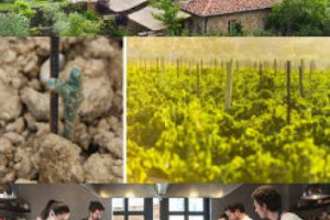 Nel cuore della Toscana, la storia di Clause e Jeanette Thottrup, coppia di imprenditori danesi che, nel 2001, si &egrave; innamorata di un podere cadente, Borgo Santo Pietro, trasformato in un relais con ristorante stellato e, presto, un&rsquo;azienda di vino