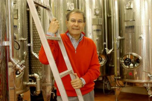 LA TRENTINA BOSSI FEDRIGOTTI E LA VENETA MASI IN PARTNERSHIP: LE DUE GRIFFE SI ACCORDANO PER LA GESTIONE AGRICOLA E LA COMERCIALIZZAZIONE. TUTTI I PARTICOLARI DELL’INTESA TRA LA STORICA FAMIGLIA E SANDRO BOSCAINI