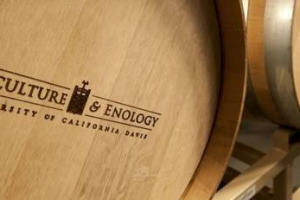 Dall&rsquo;ateneo all&rsquo;enoteca: grazie ad una legge statale il vino prodotto dagli studenti di viticultura e enologia della University of California Davis potr&agrave; ora essere venduto al pubblico, anzich&eacute; gettato via. Il prezzo auspicato? 80 dollari a bottiglia