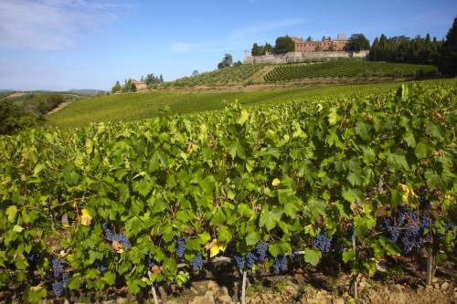 Il Castello di Brolio in Chianti Classico