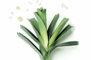 Bucce di zucca, foglie di carciofo e persino torsoli: la cucina del “riuso” torna alla ribalta. Nel volume “Buttali in Pentola” Auchan, Wwf e la eco-foodblogger Lisa Casali hanno raccolto 70 ricette antispreco i cui autori sono cittadini eco-attenti