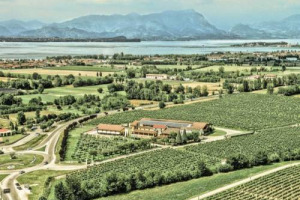 Rumors WineNews: dopo la Mesa in Sardegna, Santa Margherita investe ancora, con l&rsquo;acquisizione di C&agrave; Maiol, una delle pi&ugrave; importanti aziende del Lugana (140 ettari, 25 gi&agrave; a biologico), vino che esporta l&rsquo;80% della produzione in tutto il mondo