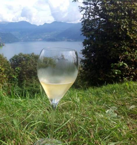 Un calice di Franciacorta e ... la vista sul Lago di Iseo