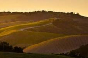 Salgono i numeri dell&rsquo;export di vino dagli Usa: nel 2016 nuovo record, a 1,62 miliardi di dollari. Ue maggior acquirente (Regno Unito e Germania in testa), ma il Canada da solo vale 431 milioni. Il 90% del vino &egrave; &ldquo;made in California&rdquo;