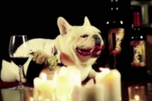 UNA CANTINA PER CANI? NON &Egrave; UNA BOUTADE, MA LA &ldquo;FRENCHIE WINERY&rdquo;, IDEATA DA JEAN-CHARLES BOISSET IN NAPA VALLEY ISPIRANDOSI AL SUO BULLDOG FRANCESE. LA PRIMA AL MONDO DOVE DEGUSTARE IN TRANQUILLIT&Agrave;, PERCH&Egrave; ANCHE &ldquo;FIDO&rdquo; &Egrave; A PROPRIO AGIO &hellip;