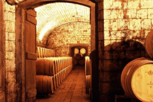 LA DISCUSSIONE SU OCM VINO (IN VIGORE DAL 1 AGOSTO) NON HA TOCCATO I DETTAGLI PER IL FUTURO DEL VINO ITALIANO. ESEMPIO? VINO OTTENUTO DA UN VITIGNO IN PUREZZA DOVRÀ ESSERE TALE AL 100%. L’UE “SALTA” LA PIRAMIDE DEL SISTEMA-VINO ITALIANO (LEGGE 164)