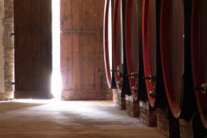 Nelle &ldquo;Cantine Aperte a Natale&rdquo; si riassaggiano le ricette dell&rsquo;antichit&agrave; del gastronomo Marco Gaio Apicio e i panettoni firmati da Iginio Massari e si fanno collage di foglie di vite e tappi segnaposto. Nel weekend, con il Movimento Turismo del Vino