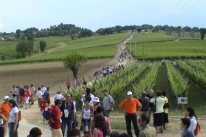 25 candeline per Cantine Aperte del Movimento Turismo del Vino: l&rsquo;edizione 2017 della festa enoica pi&ugrave; attesa dell&rsquo;anno apre a 1 milione di winelovers, per brindare il 27 e 28 maggio nelle 800 cantine aderenti con cibo, arte, sport e solidariet&agrave;