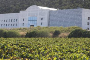Ufficiale: Santa Margherita Gruppo Vinicolo &egrave; il nuovo proprietario di Cantina Mesa, in Sardegna, nel Sulcis Iglesiente, fondata dal creativo Gavino Sanna (che resta in societ&agrave;). Si punta sulla valorizzazione di Vermentino, Carignano e Cannonau