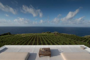 LA MALVASIA SAR&Agrave; PROTAGONISTA IL 20 LUGLIO A SALINA, AL CAPOFARO MALVASIA & RESORT, LA TENUTA DI SALINA DI TASCA D&rsquo;ALMERITA PER L&rsquo;EDIZIONE N. 3 DI &ldquo;MALVASIA DAY&rdquo;: LA GIORNATA DEDICATA AL VITIGNO PI&Ugrave; CELEBRE DELLE EOLIE ED A 15 SUOI PRODUTTORI