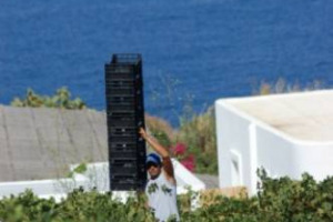 UNA BUONA ANNATA, CON SEGNALI DI RIPRESA ANCHE PER LE QUOTAZIONI DELLE UVE. ECCO LA VENDEMMIA 2011 SECONDO L&rsquo;OSSERVATORIO VITI-VINICOLO DI CONFAGRICOLTURA: IN TUTTO IL MERIDIONE, UN NETTO CALO DELLA PRODUZIONE