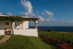 SONDAGGIO WINENEWS-VINITALY SVELA LUOGHI DOVE IL &ldquo;SOGNO ITALIANO&rdquo; DIVENTA REALT&Agrave; TRA I FILARI. &ldquo;LA GRANDE BELLEZZA&rdquo; DEL VINO ITALIANO: TOSCANA, LANGHE, SICILIA, MONTALCINO, ETNA: COSI&rsquo; LE FIRME PI&Ugrave; PRESTIGIOSE DELLA STAMPA ENOICA MONDIALE