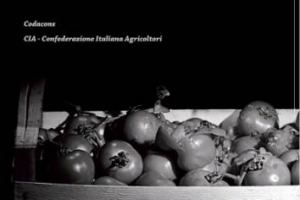 Farà sicuramente discutere “Siamo uomini o caporali …”, il calendario-denuncia 2016 voluto dagli agricoltori della Cia-Confederazione Italiana Agricoltori e dai consumatori di Codacons per denunciare lo sfruttamento nelle campagne (Roma, 17 dicembre)