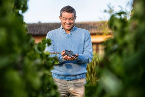 Marco Caprai in is vineyards in Montefalco