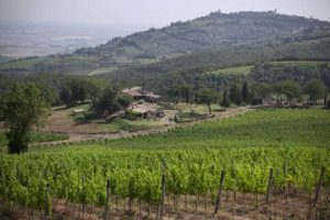 In parallelo alle denominazioni top di Toscana, la storia di Carpineto: nel 1967 nel Chianti Classico, poi in terra di Nobile di Montepulciano (oggi cuore moderno del gruppo), alle soglie dei 50 anni chiude il cerchio nel Brunello di Montalcino