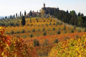 TOSCANA REGINA DEI WINE RESORT: 65 STRUTTURE DI ECCELLENZA NEI TANTI TERRITORI DEL VINO &ldquo;CENSITI&rdquo; DAL CENTRO STUDI TURISTICI PER TOSCANA PROMOZIONE. CON LA REGIONE TRA QUELLE CON LA MAGGIORE OFFERTA DI LUSSO ED EXTRALUSSO IN ITALIA