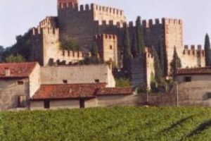 I nuovi diritti di impianto dei vigneti tra Italia e Francia: il regime in vigore dal 2015, soluzione di compromesso dopo la battaglia contro la liberalizzazione inizialmente, prevista non accontenta i principali Paesi produttori che perdono ettari