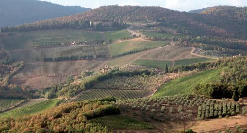 Una delle più belle tenute, Castello di Albola, in Chianti Classico