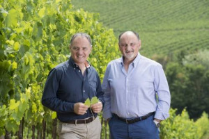 In un mondo del vino sempre pi&ugrave; globale e globalizzato c&rsquo;&egrave; chi continua a investire nel suo territorio: Cecchi, marchio top in Chianti Classico, acquista Villa Rosa, storica tenuta chiantigiana di 126 ettari (24,75 a vigneto) a Castellina in Chianti