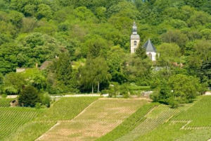 La Champagne contro il global warming: nel 2003 &egrave; stata la prima regione viticola al mondo a calcolare la propria impronta carbonica e a stabilire un piano per ridurla. In 10 anni le sue emissioni di CO2 sono scese del 15% per bottiglia spedita