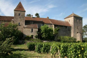 COLPO GROSSO IN BORGOGNA: UN MISTERIOSO IMPRENDITORE DI MACAO &ldquo;STRAPPA&rdquo; ALLA FAMIGLIA MASSON LO CH&Acirc;TEAU DI GEVREY-CHAMBERTIN. UN CASTELLO E DUE ETTARI DI VIGNETO PER 8 MILIONI DI EURO, E LA FRANCIA ADESSO HA PAURA DELL&rsquo;INVASIONE ORIENTALE