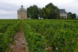 Il millesimo 2016 di Bordeaux, preceduto dall&rsquo;entusiasmo dei produttori girondini, conferma le aspettative anche nel bicchiere: una grandissima annata, pi&ugrave; da Cabernet Sauvignon che da Merlot, ma la questione dei prezzi continua a dividere i vigneron
