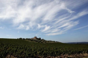 Il Distretto Rurale del Chianti, unione di Consorzio del Chianti Classico e 7 Comuni, &egrave; operativo